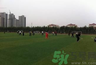 晚自習(xí)后跑步好嗎？下晚自習(xí)吃什么比較好？