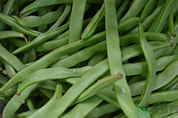 四季豆沒(méi)炒熟有毒嗎？四季豆沒(méi)熟吃了會(huì)怎樣？