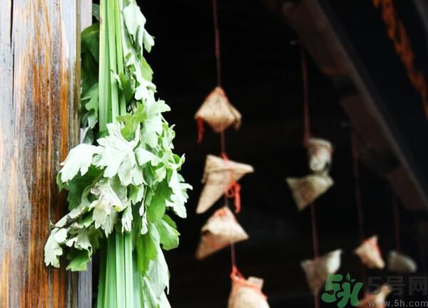 艾葉有什么保健作用？艾葉怎么使用？