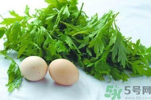 艾葉有什么保健作用？艾葉怎么使用？