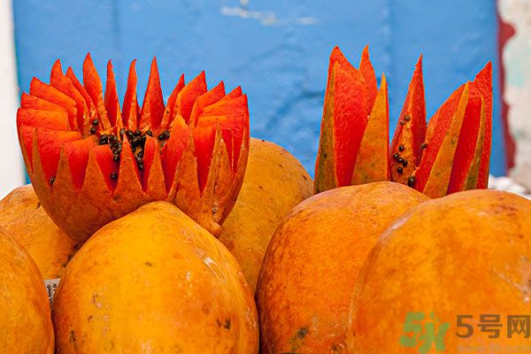 木瓜是水果還是蔬菜？青木瓜是水果嗎？