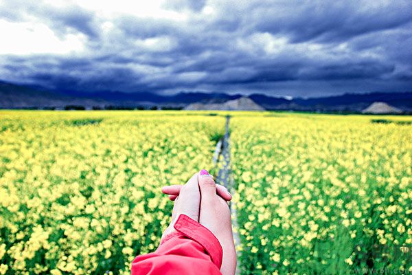 我被別人當(dāng)備胎怎么辦？什么人最容易成為備胎？