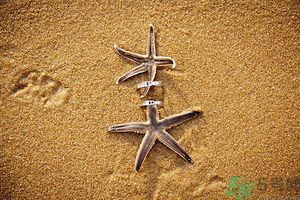 我被別人當(dāng)備胎怎么辦？什么人最容易成為備胎？