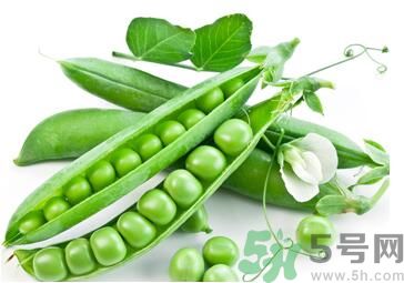 吃豌豆可以喝牛奶嗎？吃豌豆的時(shí)候可以喝牛奶嗎？
