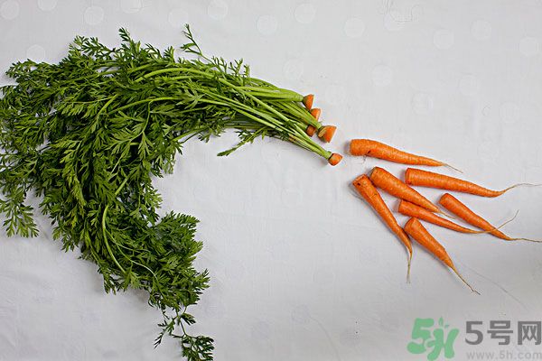 吃西瓜能防曬嗎？吃巧克力能紫外線嗎？