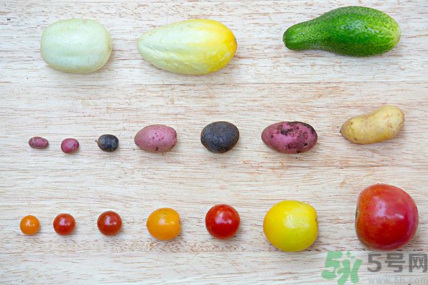 吃黃瓜對(duì)身體有什么好處？每天吃黃瓜的好處有哪些