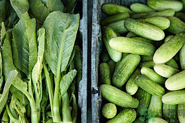 吃黃瓜對身體有什么好處？每天吃黃瓜的好處有哪些