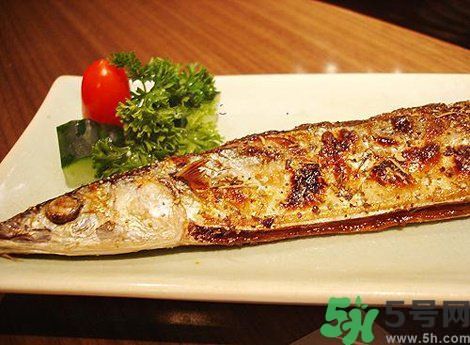 魚(yú)身上最有營(yíng)養(yǎng)的地方是哪里？魚(yú)的功效與作用？