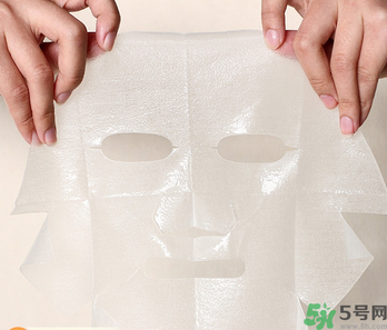 木瓜可以煮粥嗎？木瓜可以煮什么？