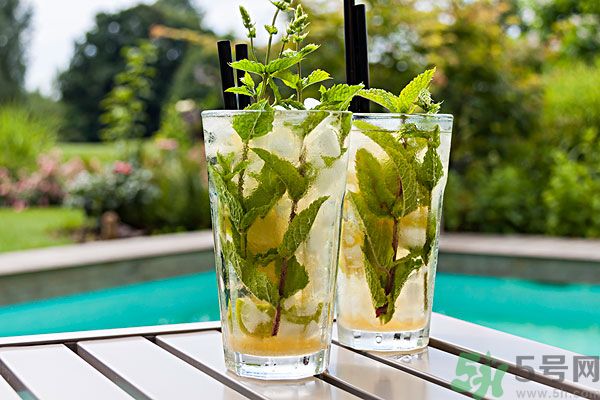 薄荷曬干泡茶有什么好處？薄荷曬干泡水的功效