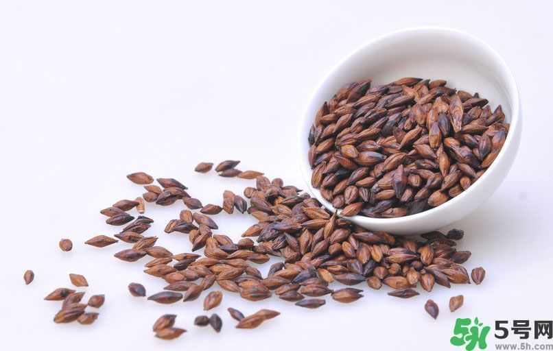 玄米茶和大麥茶的區(qū)別？玄米茶和大麥茶哪個(gè)好？