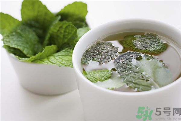 薄荷能美白嗎？薄荷的功效與作用