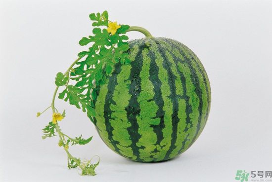 西瓜怎么挑熟的甜的？西瓜的儲存方法？
