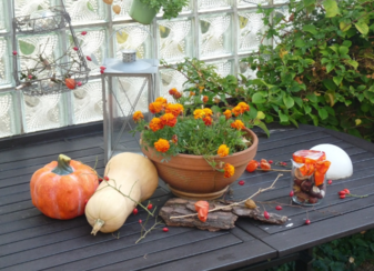 南瓜吃了皮膚會(huì)變黃嗎？吃南瓜對(duì)皮膚有什么影響？