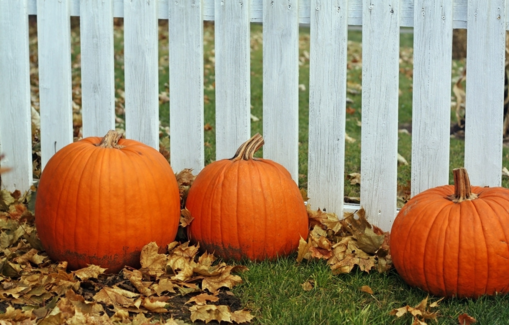 南瓜吃了會胃酸嗎？南瓜吃了胃不舒服怎么回事？
