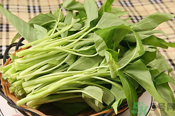 空心菜是菠菜嗎？空心菜是不是菠菜？