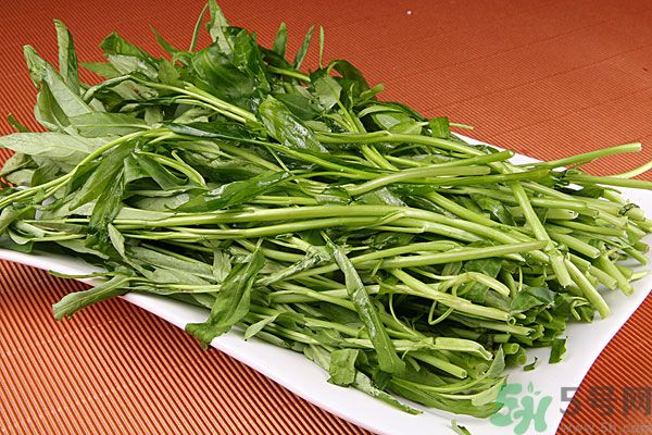 空心菜是菠菜嗎？空心菜是不是菠菜？