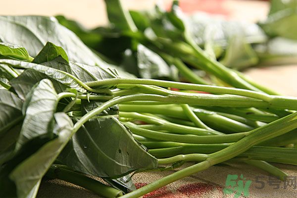 空心菜是菠菜嗎？空心菜是不是菠菜？