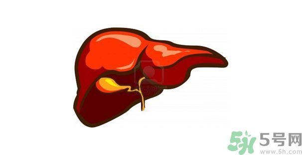 在外面吃飯會得乙肝嗎？在食堂吃飯會得乙肝嗎？