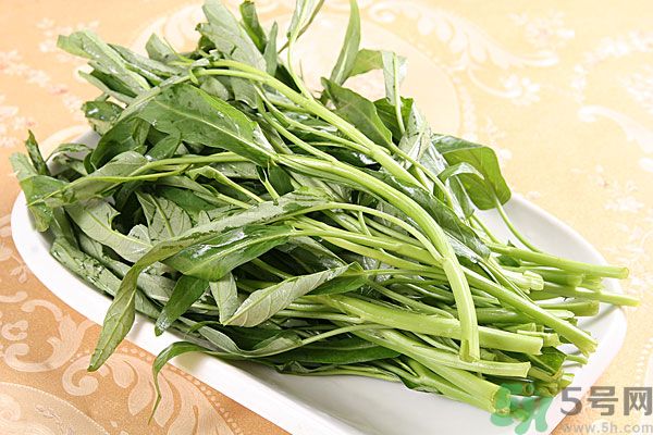 空心菜是菠菜嗎？空心菜是不是菠菜？