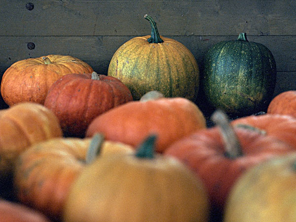 臉上長痘能吃南瓜嗎？臉上長痘吃南瓜好不好？