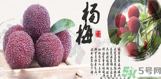 吃楊梅可以防止中暑嗎？中暑可以吃楊梅嗎？