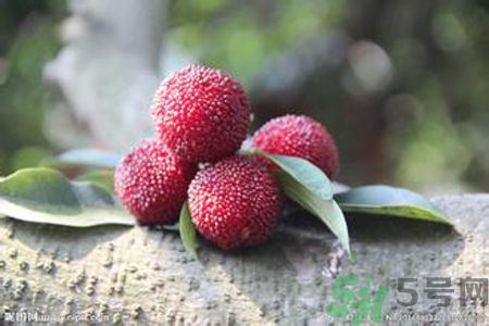 吃楊梅可以防止中暑嗎？中暑可以吃楊梅嗎？