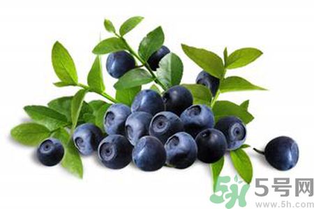 藍莓是熱性還是涼性？藍莓是涼性嗎？