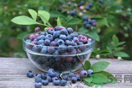 藍(lán)莓是酸性還是堿性？藍(lán)莓是堿性嗎？