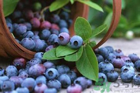 藍(lán)莓是不是發(fā)物？藍(lán)莓是發(fā)物嗎？