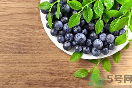 什么是藍(lán)莓李果？藍(lán)莓李果和藍(lán)莓的區(qū)別？