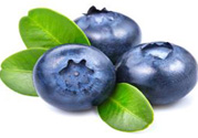 什么是藍(lán)莓李果？藍(lán)莓李果和藍(lán)莓的區(qū)別？