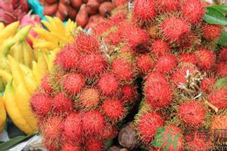 寶寶可以吃紅毛丹嗎？寶寶多大了可以吃紅毛丹？