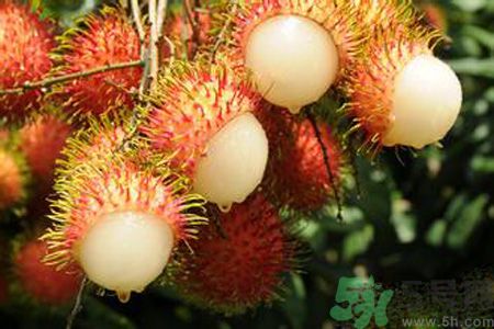 紅毛丹的怎么做好吃？紅毛丹的做法