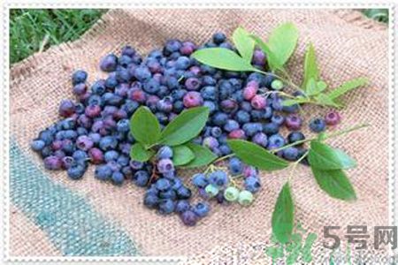 藍(lán)莓果醬怎么做好吃？藍(lán)莓果醬的做法