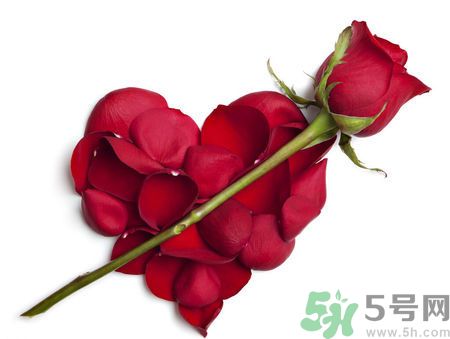 父親節(jié)送什么花好？父親節(jié)送什么花？