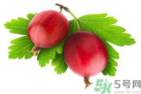 高血壓可以吃無花果嗎？無花果可以降血壓嗎？