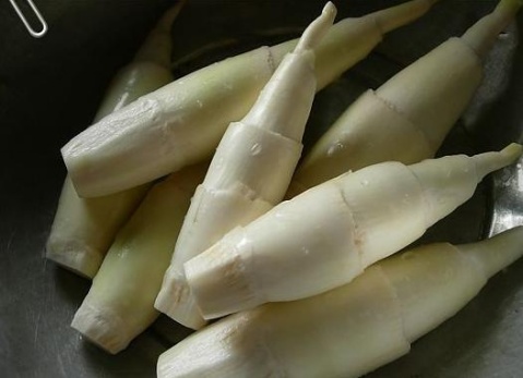 茭白老了還能吃嗎?茭白老了吃會(huì)怎么樣 茭白老了還能吃嗎?茭白老了吃會(huì)怎么樣