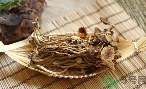 茶樹菇可以生吃嗎?茶樹菇生吃會(huì)怎么樣