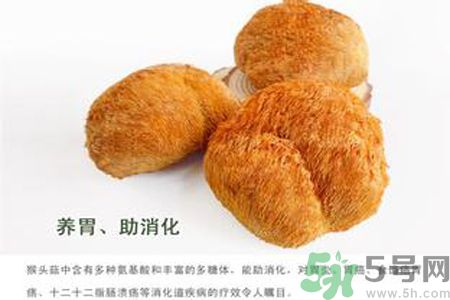 猴頭菇是酸性還是堿性？猴頭菇是堿性嗎？