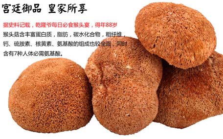 干猴頭菇用開(kāi)水泡可以嗎 干猴頭菇用什么水泡