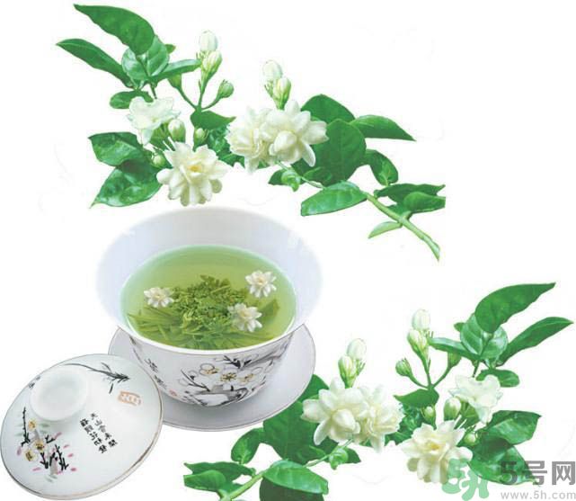 喝茉莉花茶會過敏嗎？喝茉莉花茶過敏了怎么辦？