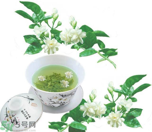 茉莉花茶可以減肥嗎？怎樣喝茉莉花茶可以減肥？