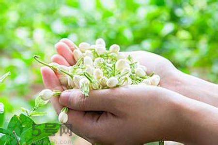 茉莉花茶可以和玫瑰花茶一起喝嗎？茉莉花茶和玫瑰花茶一起泡著喝好嗎？