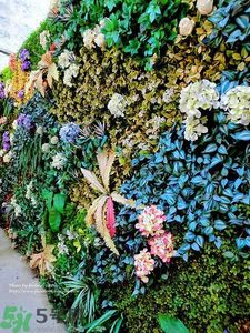 寵愛(ài)之名寵愛(ài)女孩面膜怎么樣？寵愛(ài)女孩礦物云絲面膜好用嗎？