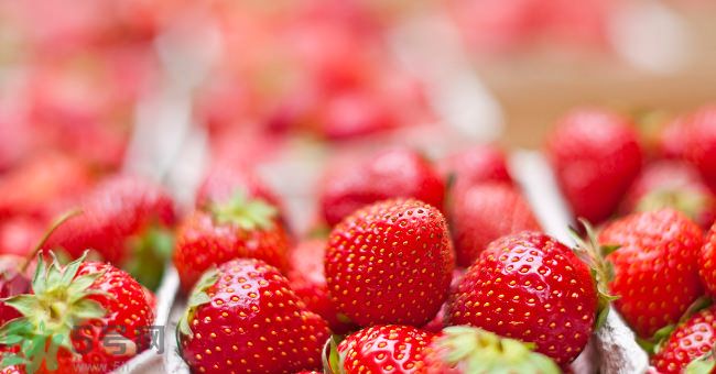 草莓污漬怎么去掉？草莓汁弄到衣服上怎么洗？