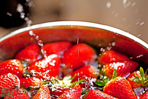 草莓污漬怎么去掉？草莓汁弄到衣服上怎么洗？