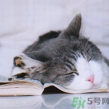 如何控油？如何控油祛痘？