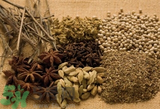 16歲女生很矮還能長高嗎？16歲女生很矮怎么辦？