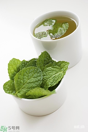 薄荷能美白嗎？薄荷有什么功效和作用？